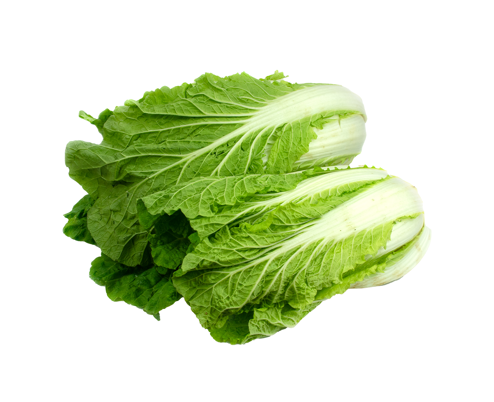 Wombok Wombok