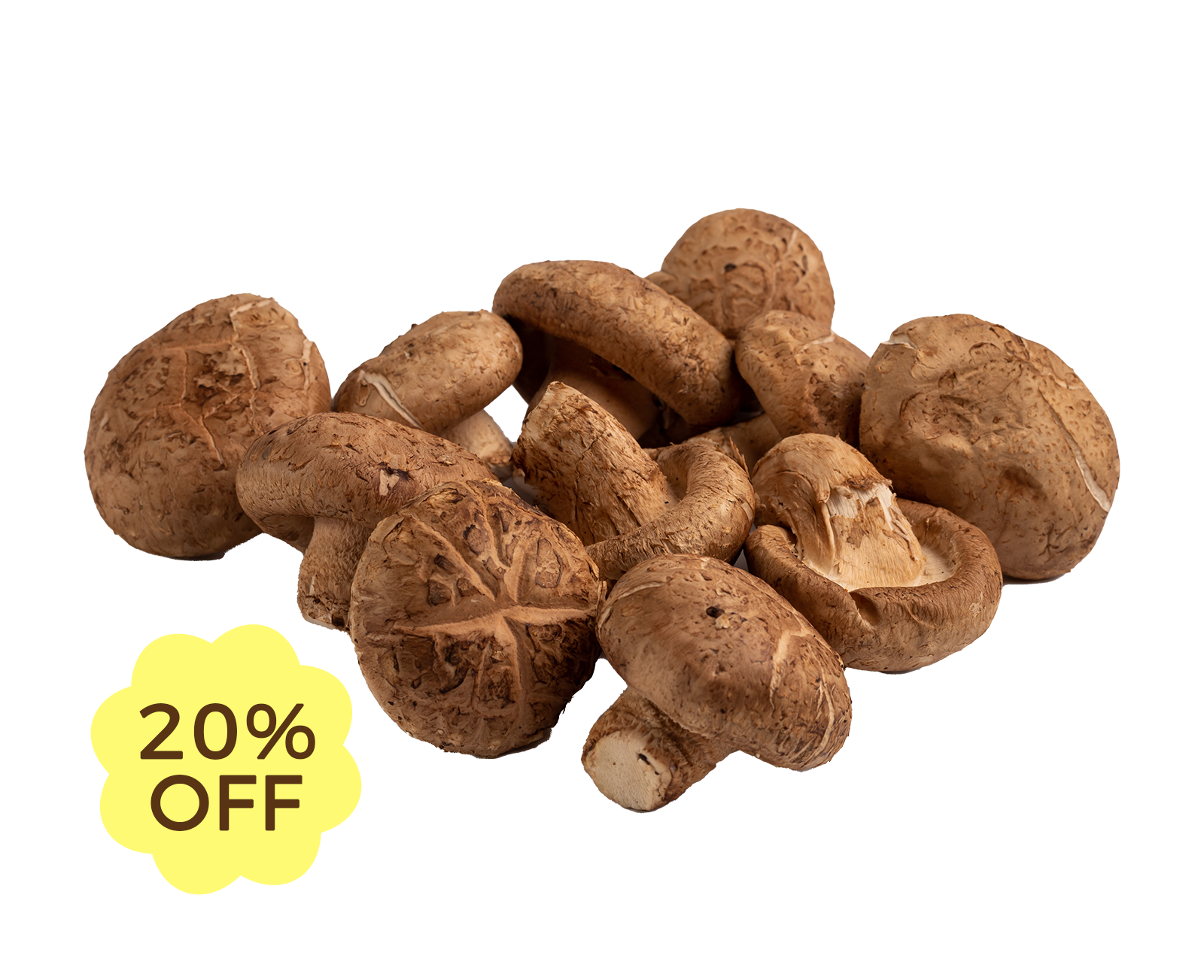 Mushroom Shiitake Mushroom Shiitake