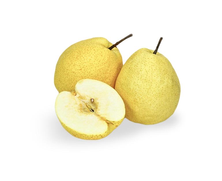 Pears Century