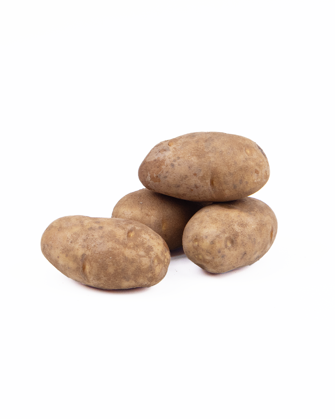 Russet Potato Russet Potato