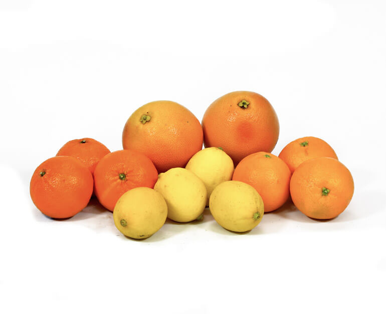 Bundle of Citrus