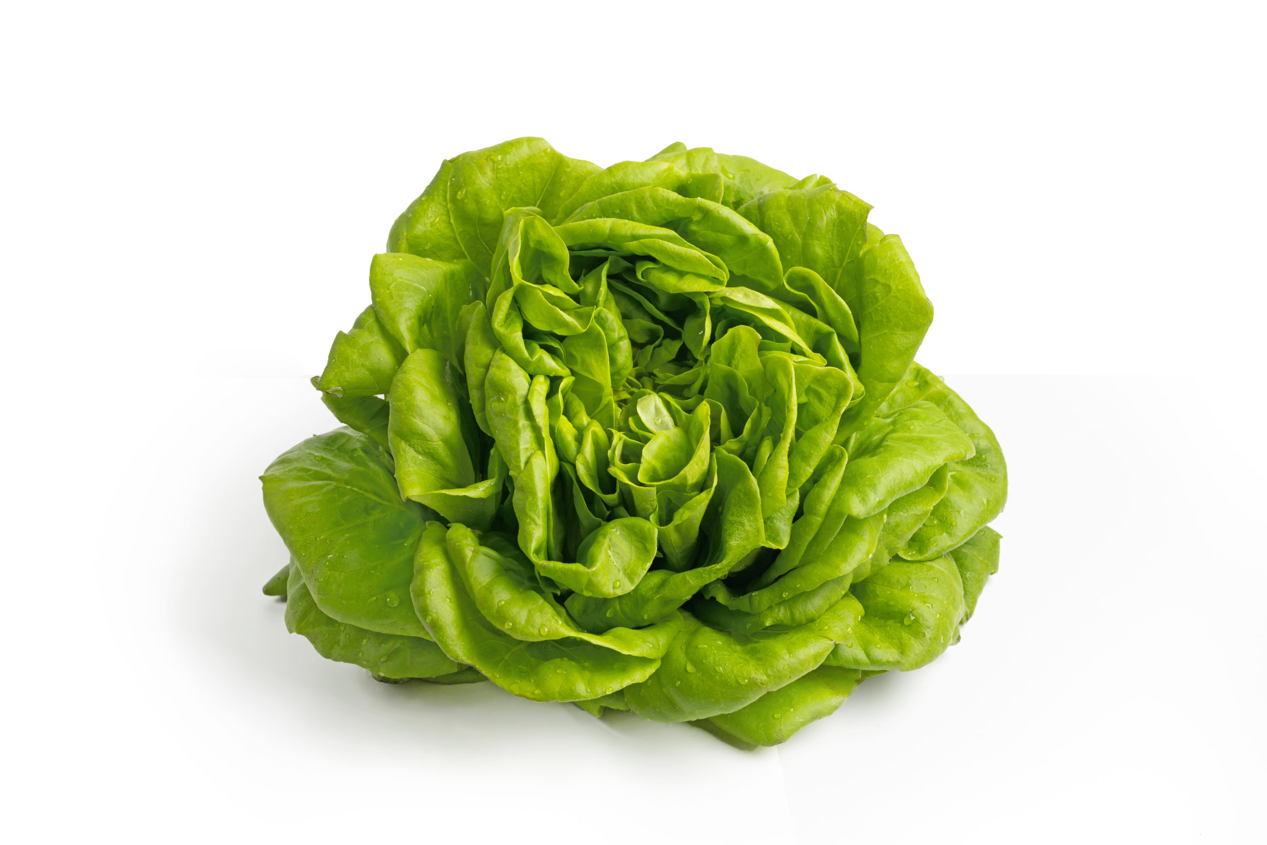 Lettuce