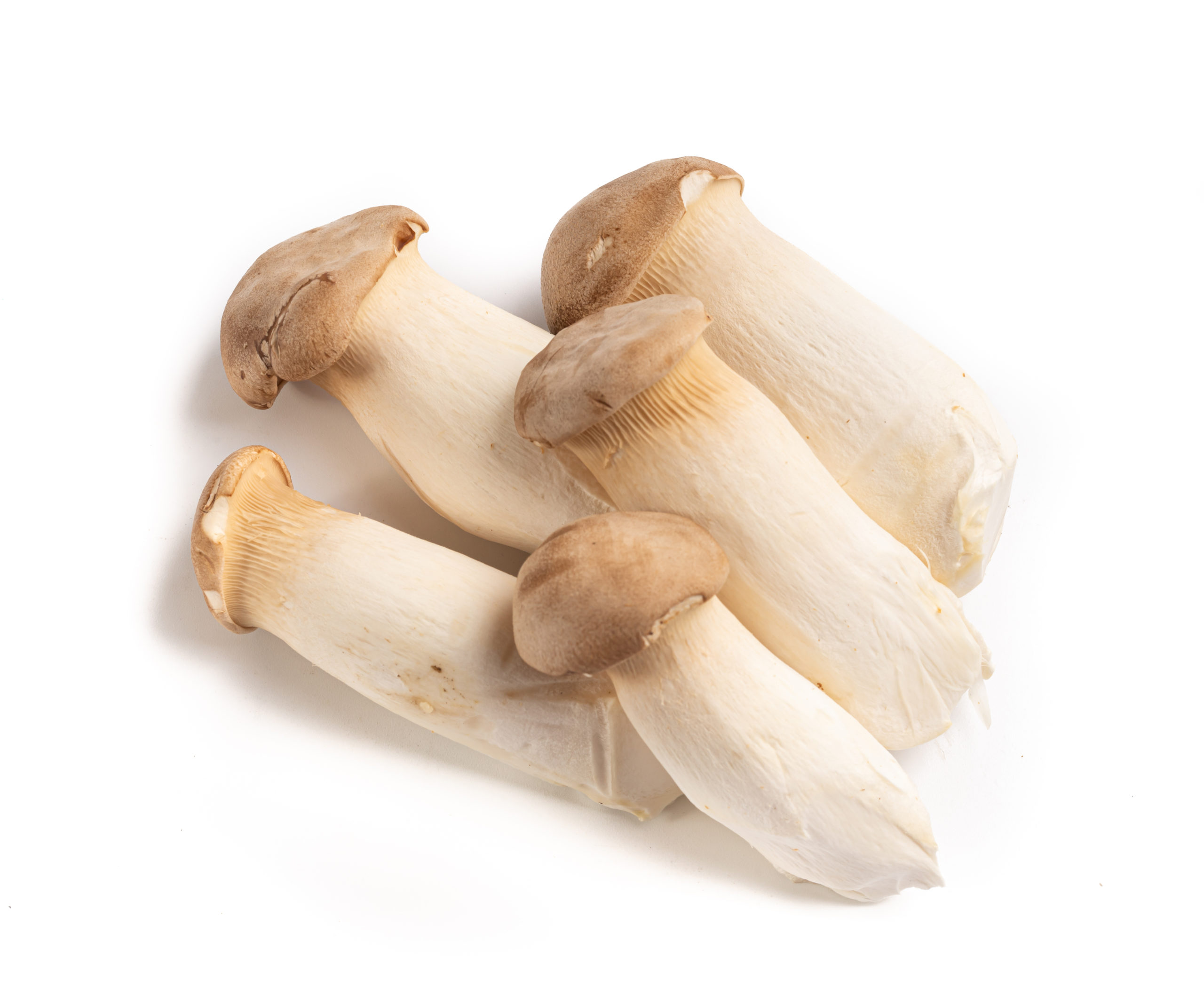 Mushrooms